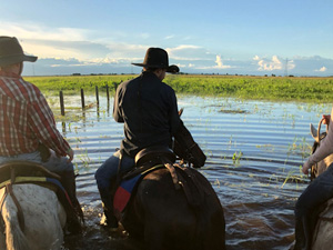 randonnée à cheval Colombie Casanare photo 4