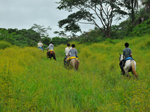randonnée à cheval Costa Rica Alajuela photo 1