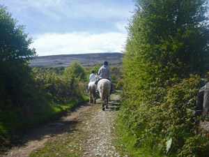 randonnée à cheval Irlande Clare photo 3