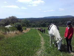 randonnée à cheval France Occitanie photo 4