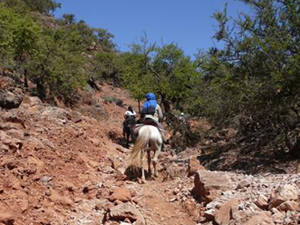 randonnée à cheval Maroc Anti-Atlas photo 6