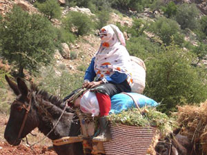 randonnée à cheval Maroc Anti-Atlas photo 4