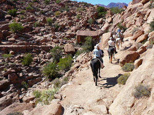 randonnée à cheval Maroc Sud photo 3