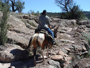 randonnée à cheval Etats-Unis Nouveau-Mexique photo 5