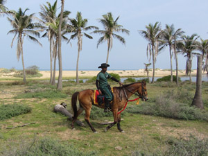 randonnée à cheval Sri Lanka Sud photo 1