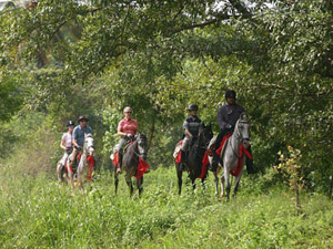 randonnée à cheval Sri Lanka Sud photo 3