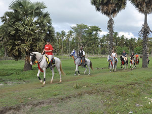 randonnée à cheval Sri Lanka Sud photo 5
