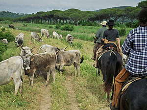 randonnée à cheval Italie Toscane photo 3