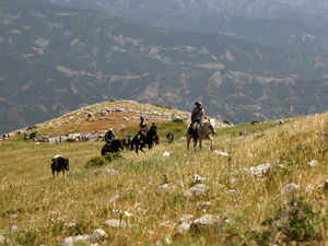 randonnée à cheval Albanie Sud photo 2