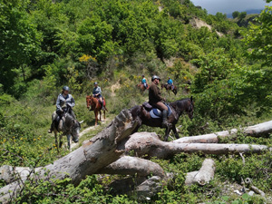 randonnée à cheval Albanie Sud photo 2