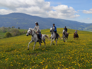 randonnée à cheval France Alsace photo 4