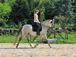 randonnée à cheval france alsace l'ecole espagnole d'alsace