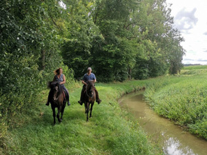 randonnée à cheval France Alsace photo 3