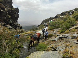 randonnée à cheval Espagne Andalousie photo 2