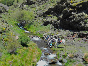 randonnée à cheval Espagne Andalousie photo 3