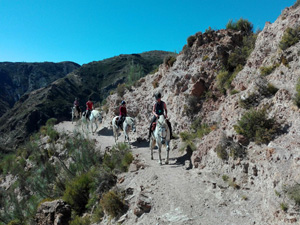 randonnée à cheval Espagne Andalousie photo 1