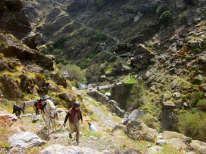 randonnée à cheval Espagne Andalousie photo 3