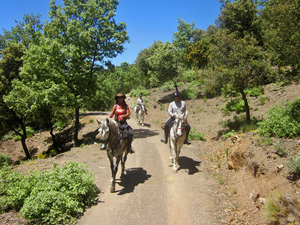 randonnée à cheval Espagne Andalousie photo 4