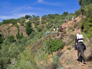 randonnée à cheval Espagne Andalousie photo 5