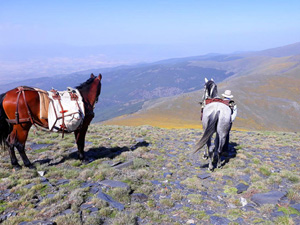 randonnée à cheval Espagne Andalousie photo 2