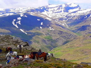 randonnée à cheval Espagne Andalousie photo 4