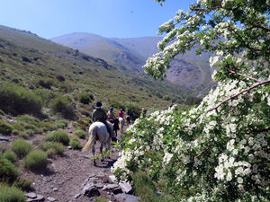 randonnée à cheval Espagne Andalousie photo 2