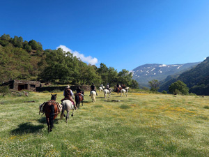 randonnée à cheval Espagne Andalousie photo 4