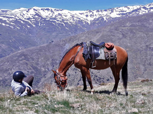 randonnée à cheval Espagne Andalousie photo 2