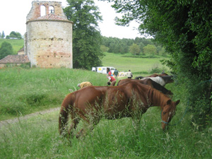 randonnée à cheval France Aquitaine photo 3