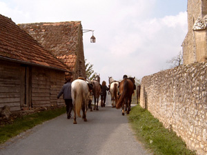 randonnée à cheval France Aquitaine photo 4