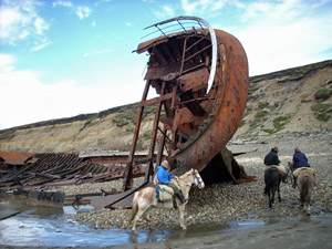 randonnée à cheval Argentine  Terre de Feu photo 7