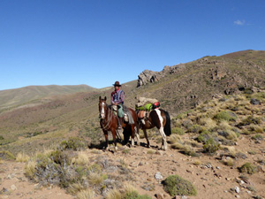 randonnée à cheval argentine  rio negro le lièvre de patagonie