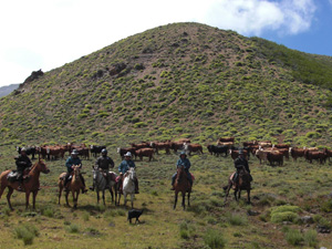 randonnée à cheval Argentine  Rio Negro photo 5