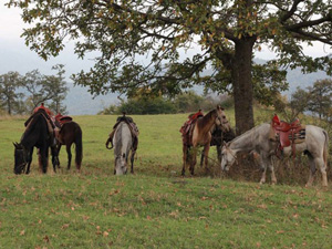 randonnée à cheval Arménie Tavush photo 4