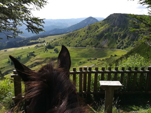 randonnée à cheval France Auvergne-Rhône-Alpes photo 1