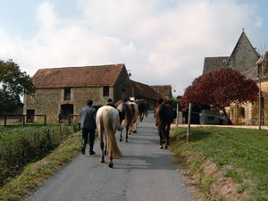 randonnée à cheval France Auvergne-Rhône-Alpes photo 4