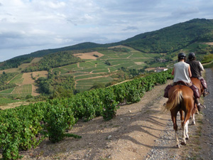 randonnée à cheval france auvergne-rhône-alpes le beaujolais en liberté!