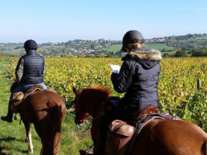 randonnée à cheval France Auvergne-Rhône-Alpes photo 2