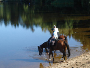 randonnée à cheval France Auvergne-Rhône-Alpes photo 2