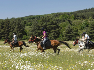 randonnée à cheval France Auvergne-Rhône-Alpes photo 4