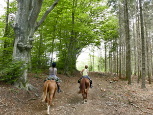 randonnée à cheval France Auvergne-Rhône-Alpes photo 5