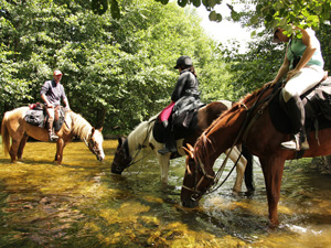 randonnée à cheval France Auvergne-Rhône-Alpes photo 6