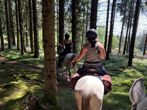 randonnée à cheval France Auvergne-Rh&ocirc;ne-Alpes photo 3