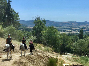 randonnée à cheval France Auvergne-Rh&ocirc;ne-Alpes photo 4