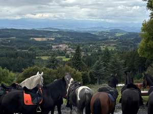 randonnée à cheval france auvergne-rhône-alpes au pays des puys