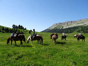 randonnée à cheval France Auvergne-Rhône-Alpes photo 2