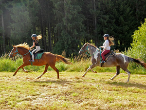 randonnée à cheval France Auvergne-Rhône-Alpes photo 3