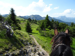 randonnée à cheval France Auvergne-Rhône-Alpes photo 5