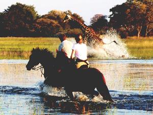 randonnée à cheval Botswana Okavango photo 1