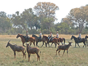 randonnée à cheval Botswana Okavango photo 3